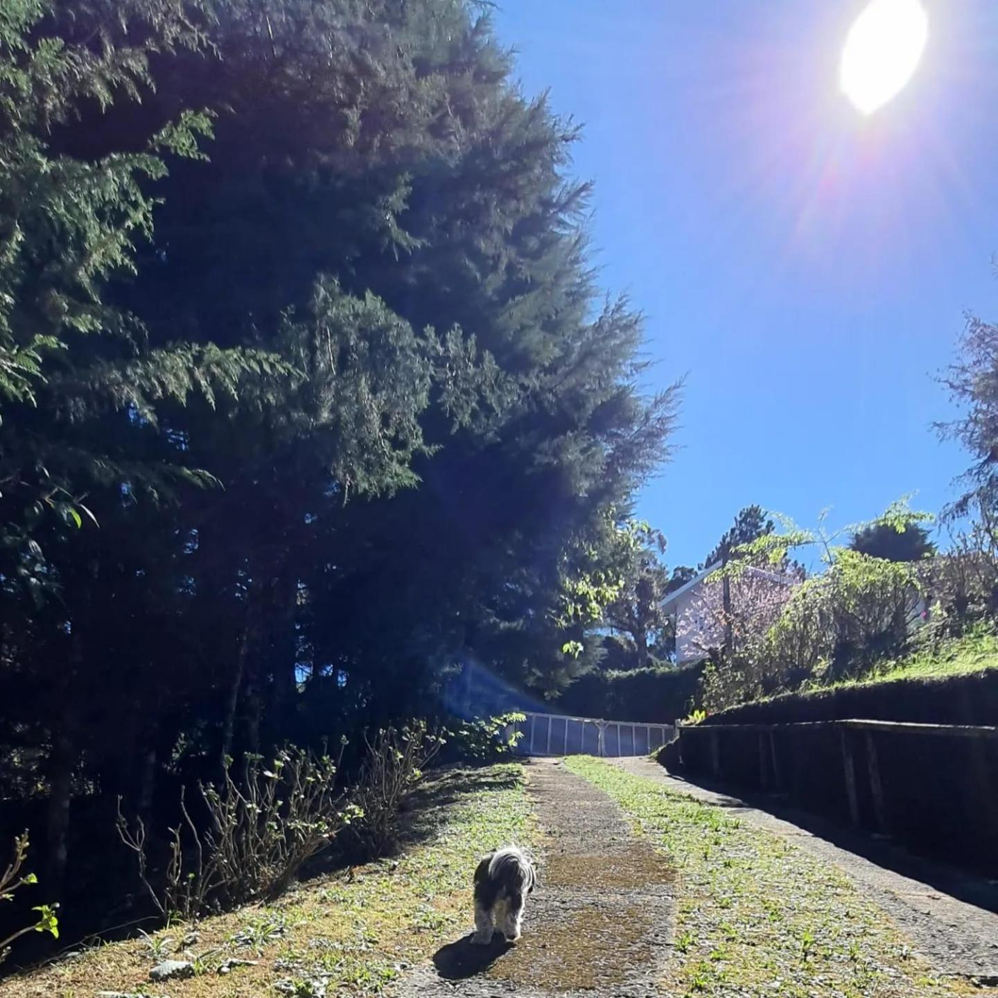 Pousada Valle Do Sol Otel Campos do Jordao Dış mekan fotoğraf